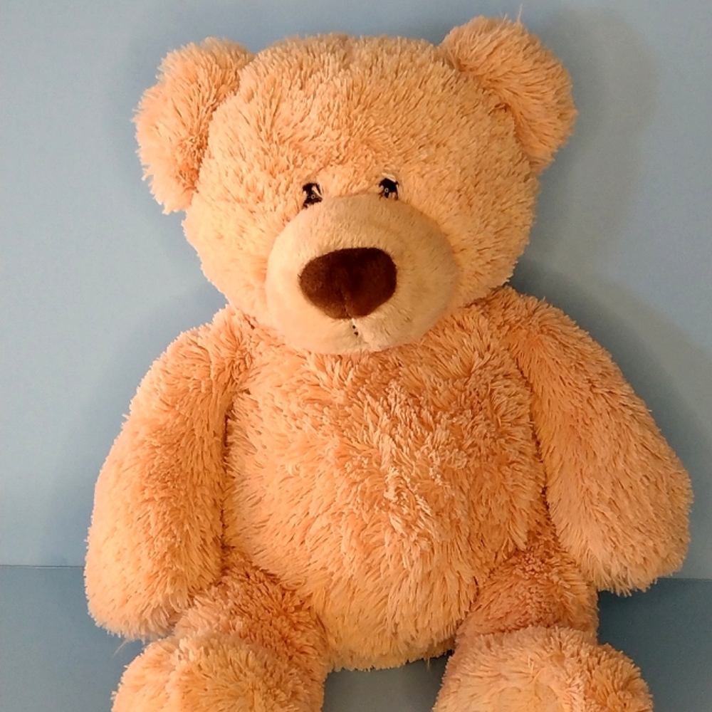 Gund teddy bear plushie